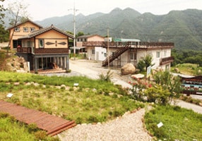 산야초마을 (약초생활건강)