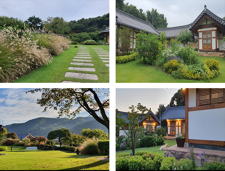 서유숙 정원 사진