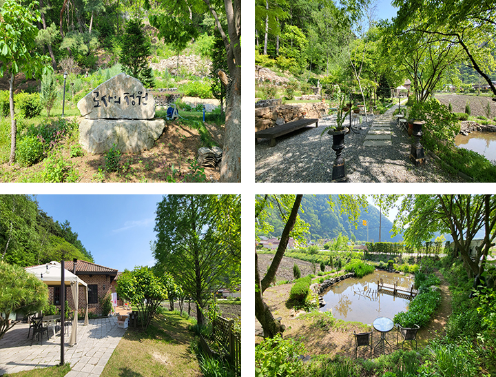 로사의 정원 사진