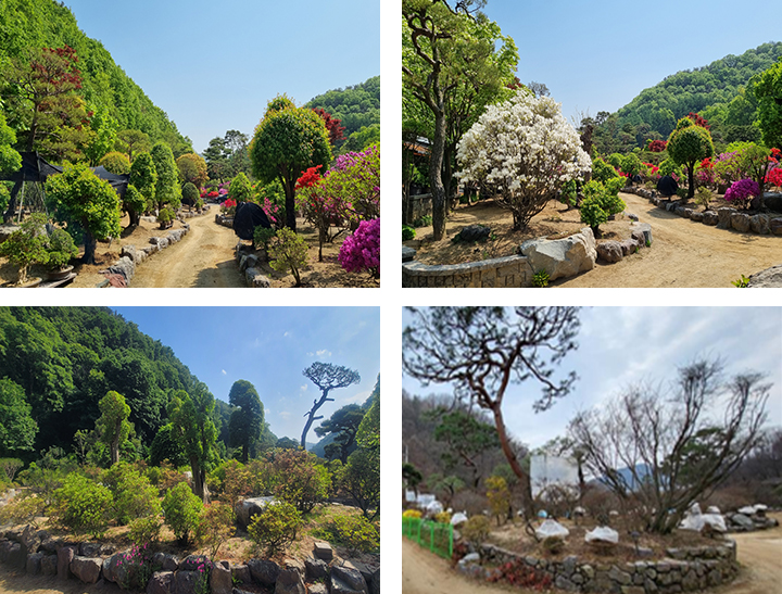 아트포레 정원 사진